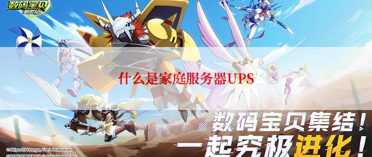 什么是家庭服务器UPS