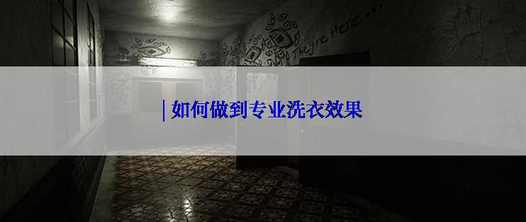| 如何做到专业洗衣效果