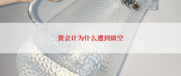 贾会计为什么遭到做空