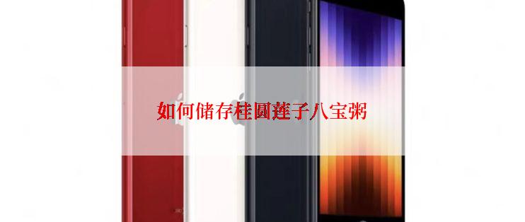 如何储存桂圆莲子八宝粥