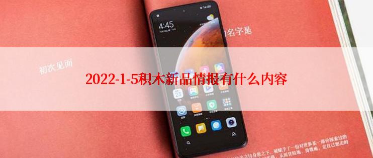 2022-1-5积木新品情报有什么内容