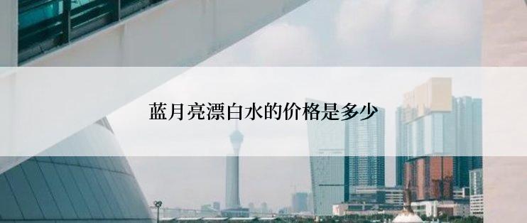 蓝月亮漂白水的价格是多少
