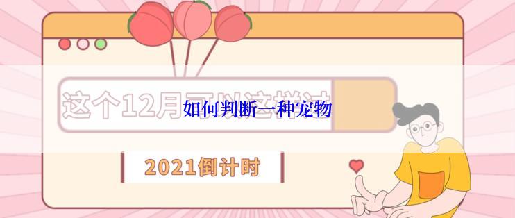 如何判断一种宠物