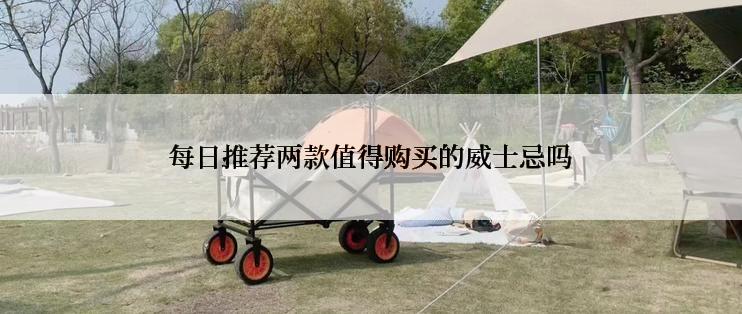 每日推荐两款值得购买的威士忌吗