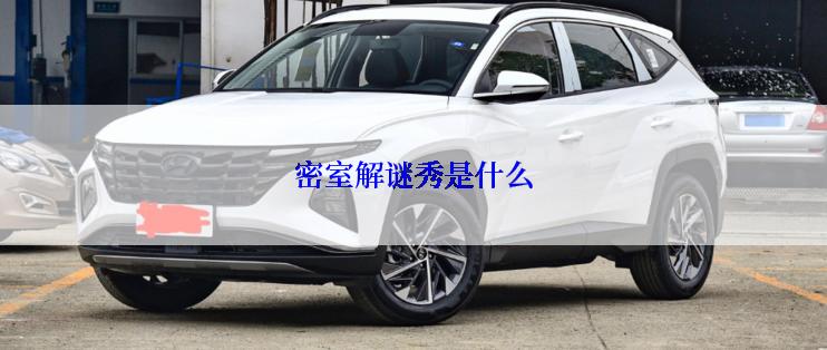 密室解谜秀是什么