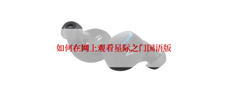  如何在网上观看星际之门国语版