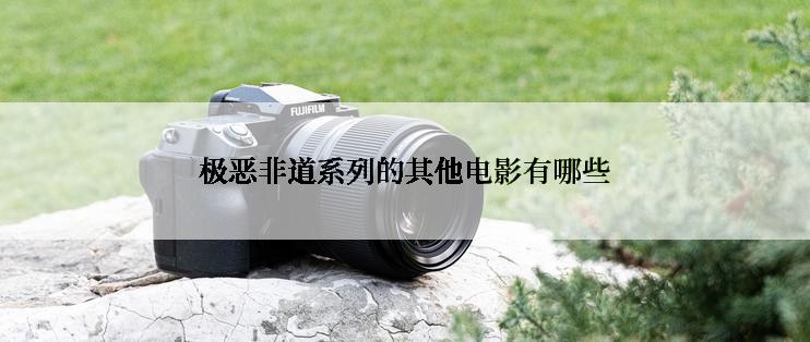 极恶非道系列的其他电影有哪些