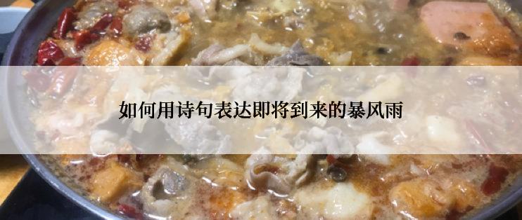如何用诗句表达即将到来的暴风雨