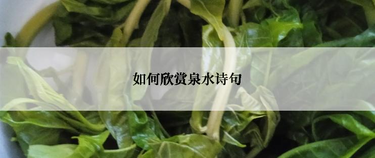 如何欣赏泉水诗句