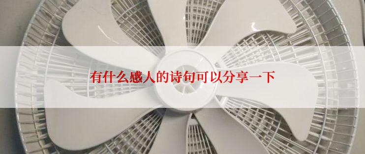 有什么感人的诗句可以分享一下