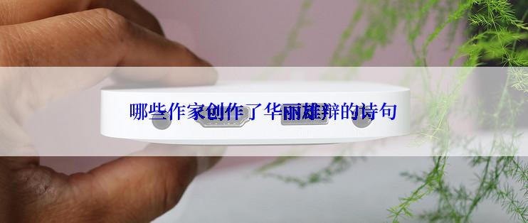 哪些作家创作了华丽雄辩的诗句