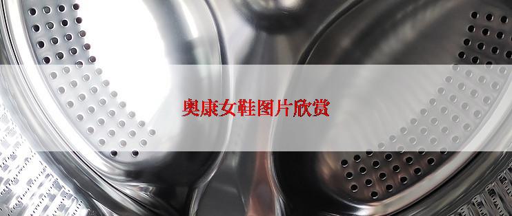 奥康女鞋图片欣赏