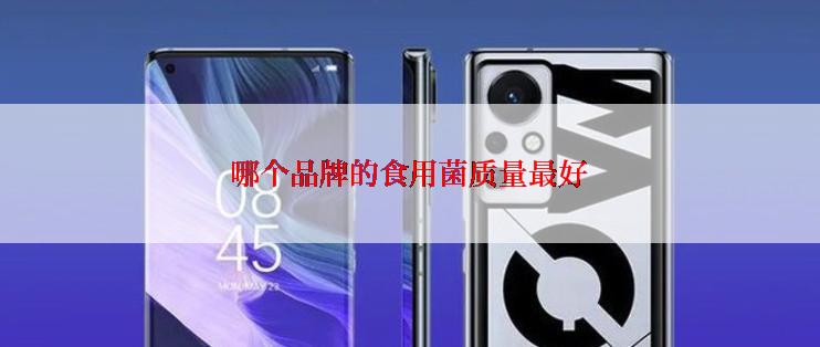 哪个品牌的食用菌质量最好