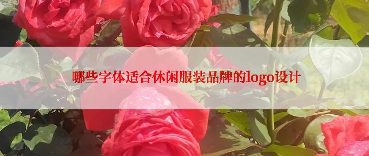  哪些字体适合休闲服装品牌的logo设计